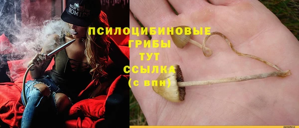 apvp Балабаново