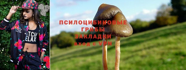 apvp Балабаново