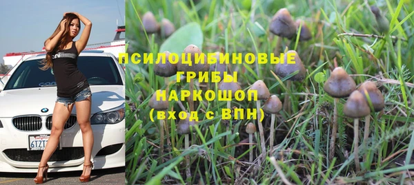 дживик Балахна